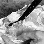 cut through ribs