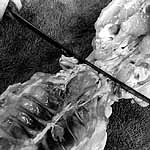 cut joints apart